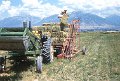 ranch hands hauling hay